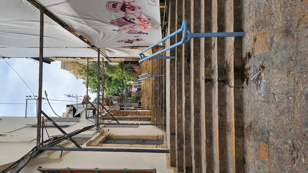 Bougainvillea Blooms