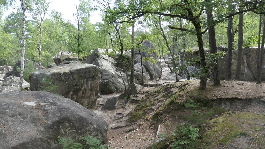 Bouldering Opportunities
