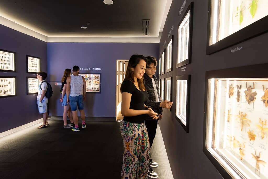 Free-Flying Butterflies