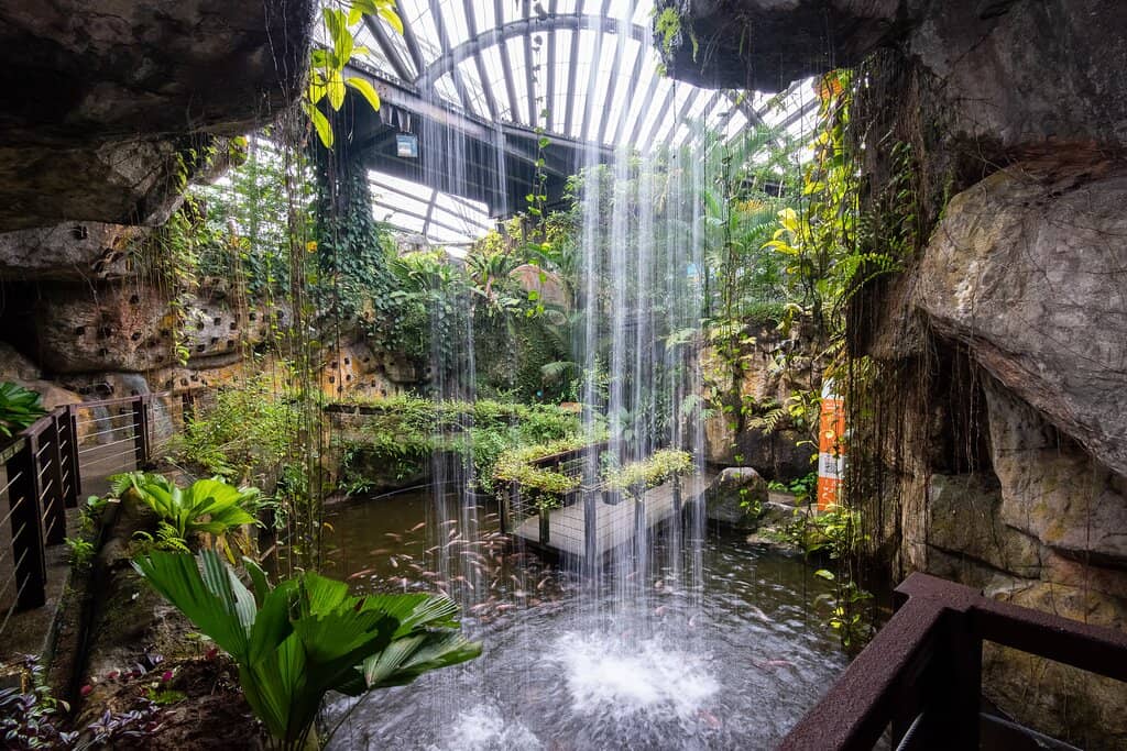 The Waterfall Entrance