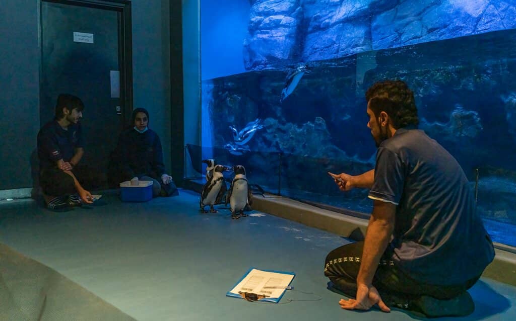 Underwater Tunnel