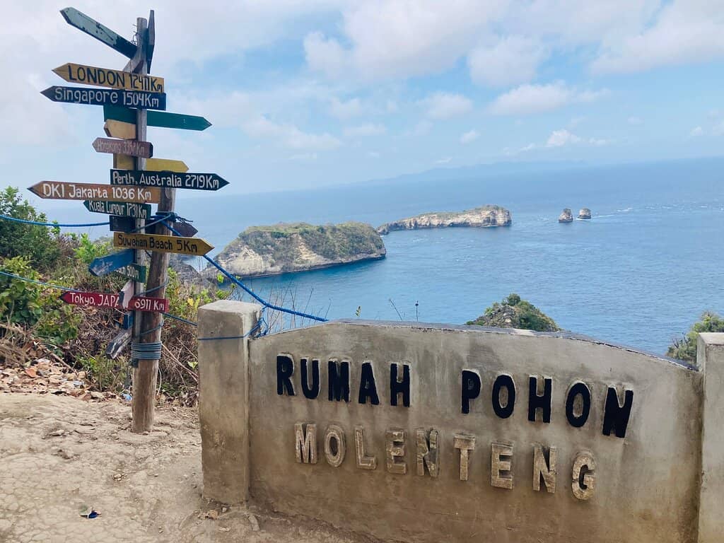 Rumah Pohon (Tree House)