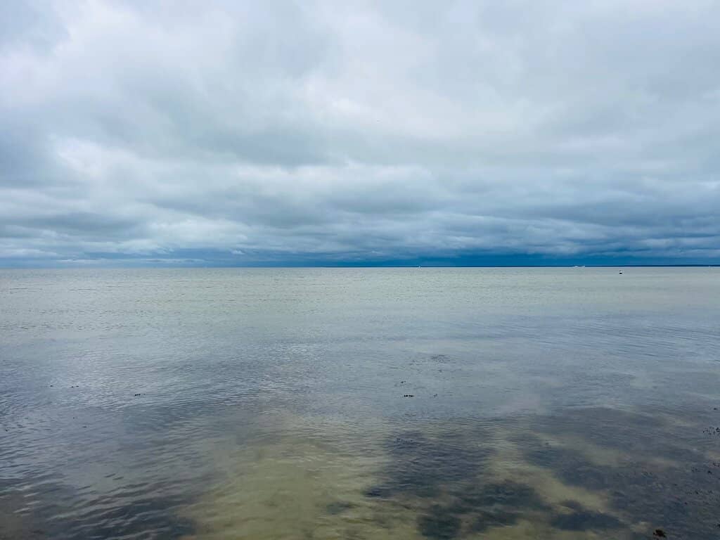 Ocean Meets Marsh