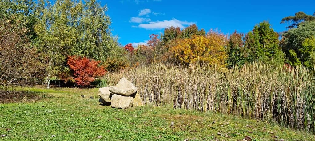 Tortoise of Longevity