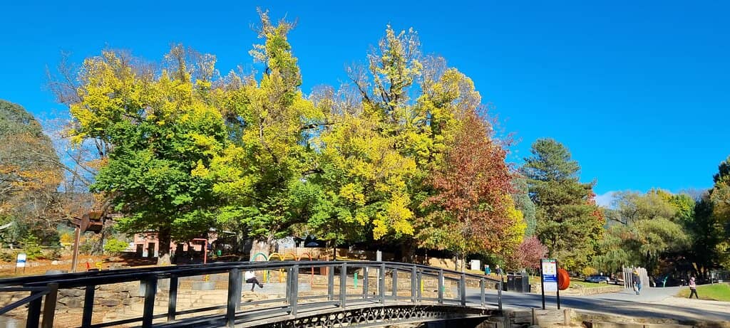 Refreshing River Fun