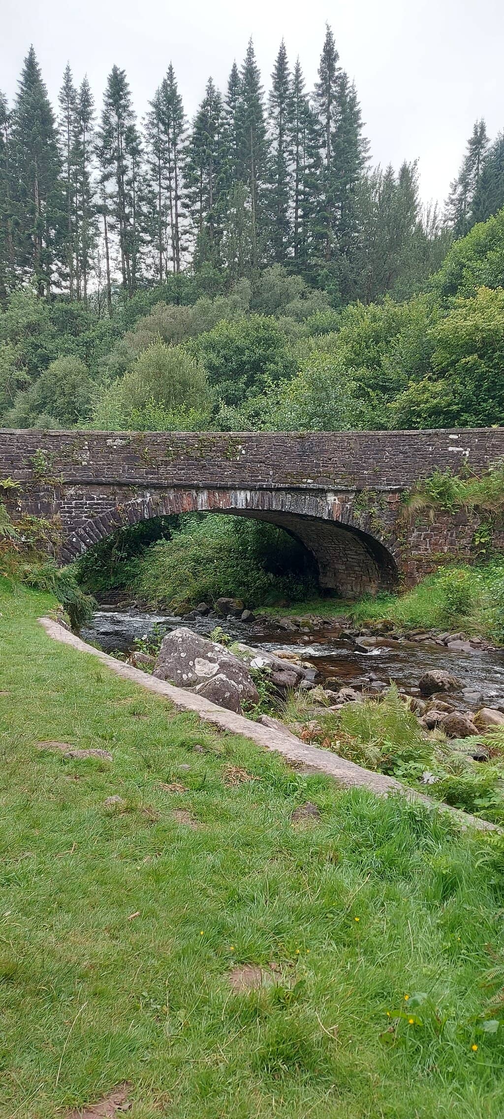 Panoramic Brecon Views