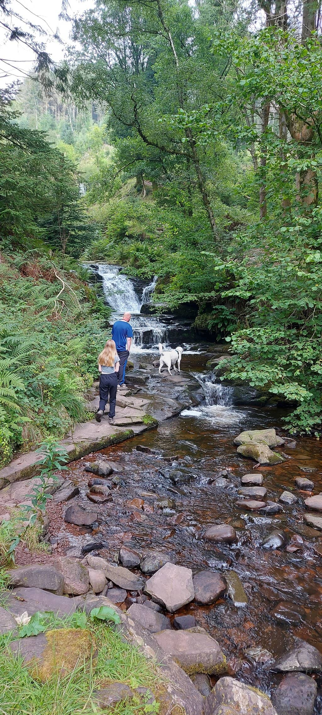 Forest Trails & Streams