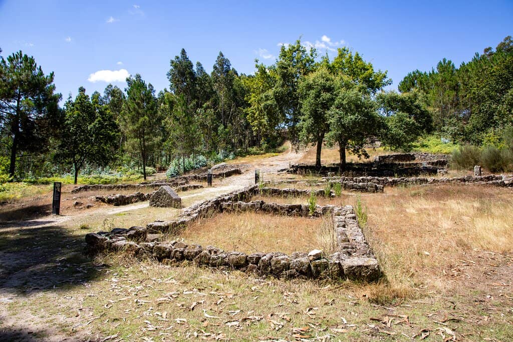 Museum Models and Artifacts
