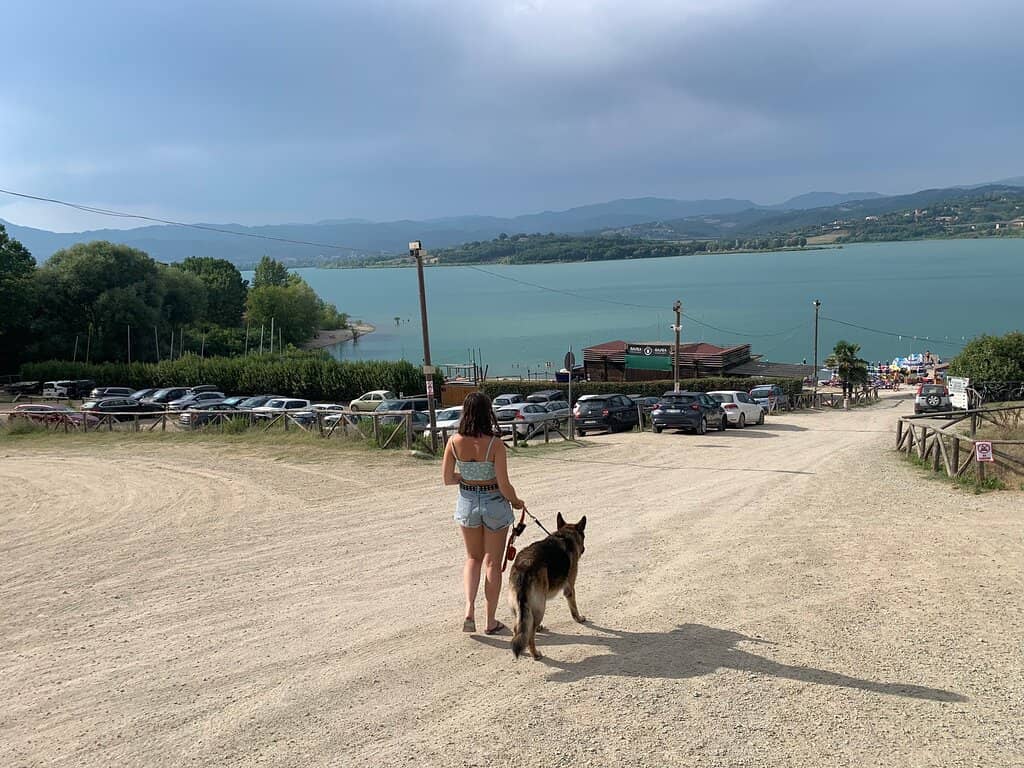 Tranquil Lakeside Strolls
