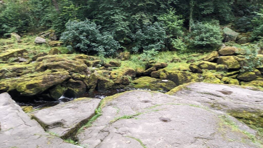 Strid Wood