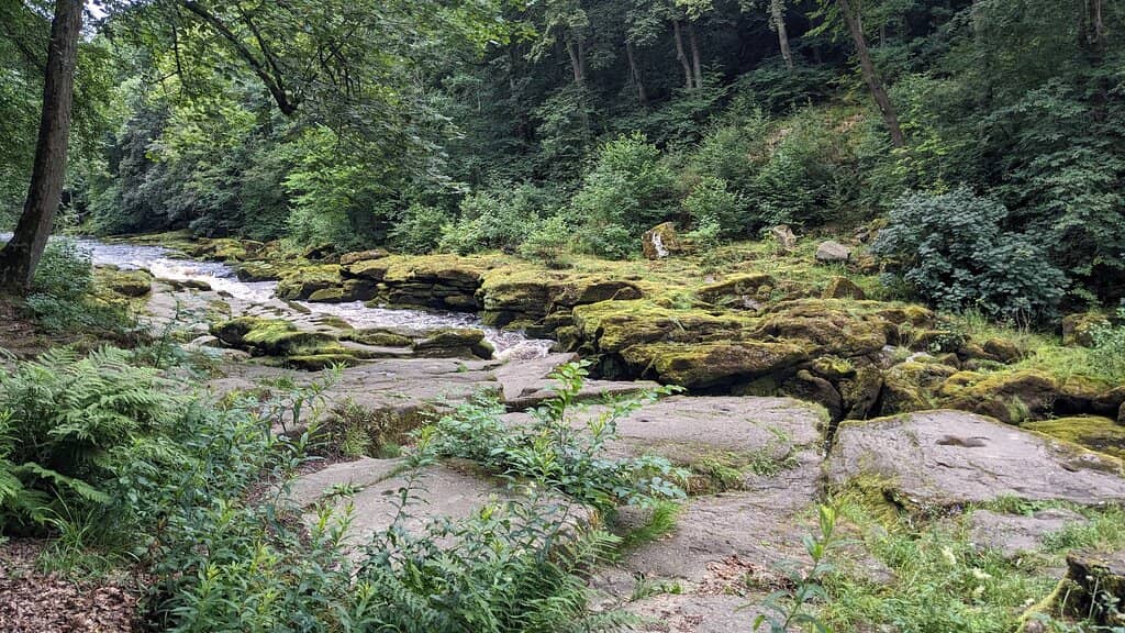 Bolton Abbey Estate