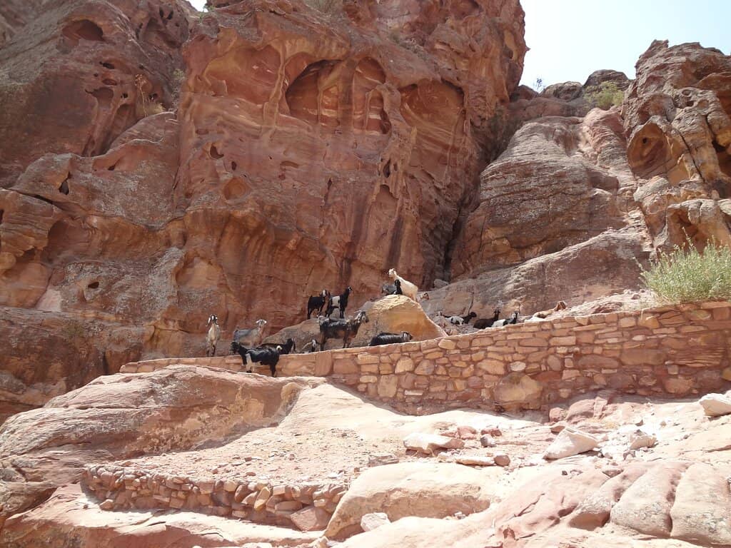 Treasury Viewpoint