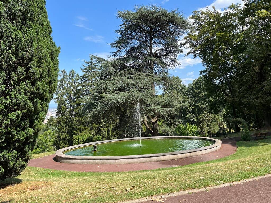 Unique Tree Collection