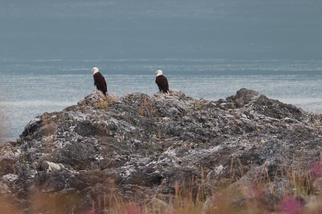 Freshwater Meets Saltwater