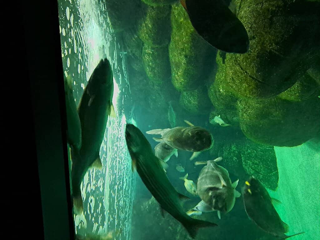 Informative Educational Displays