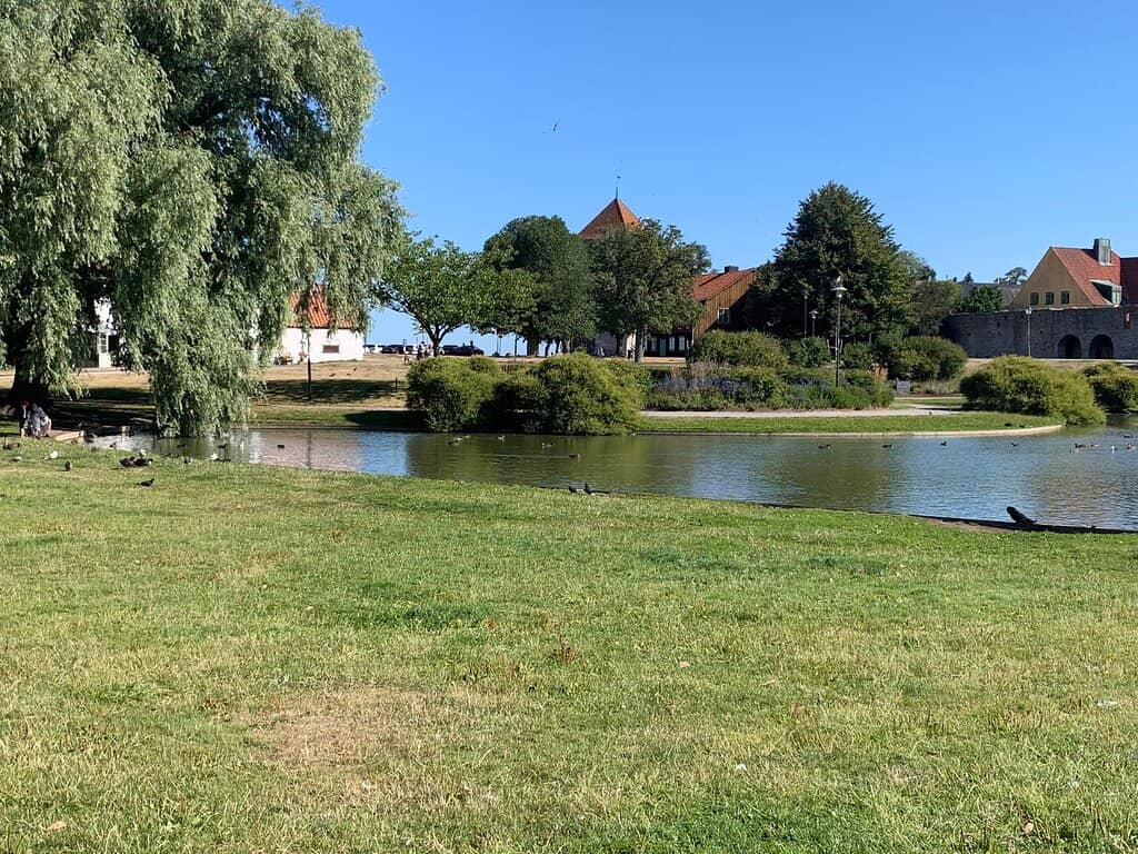 The Duck Pond