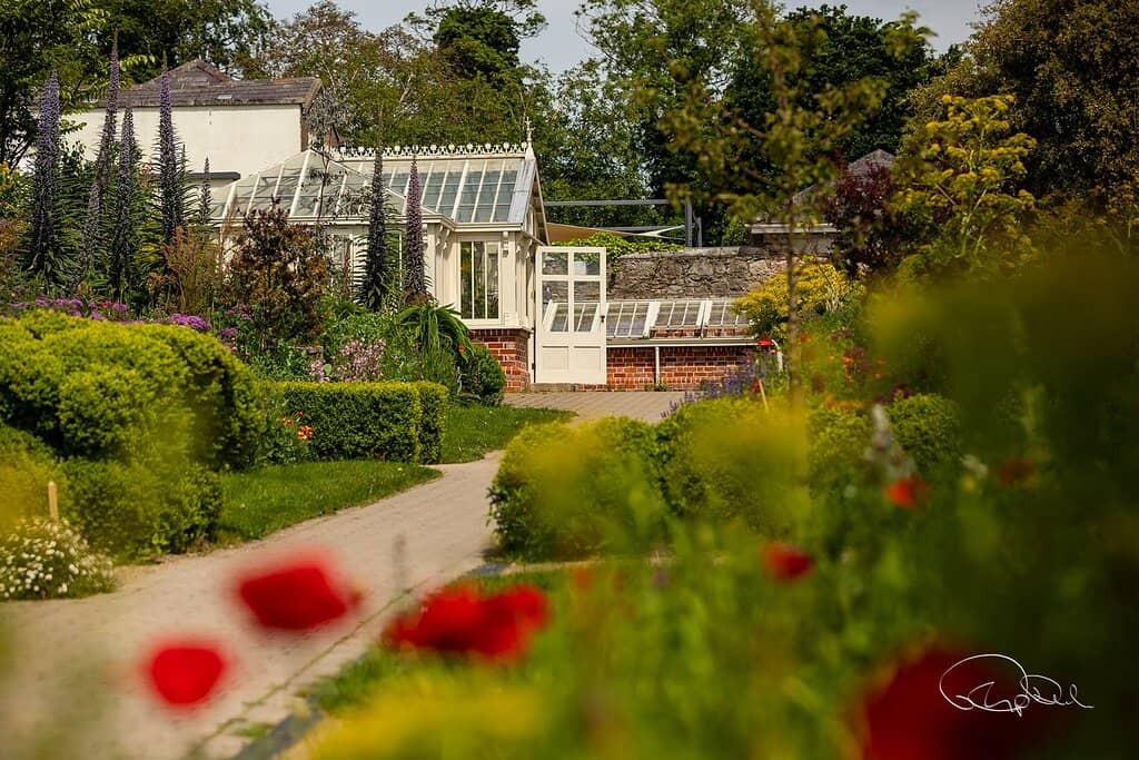 Meet the Farm Animals