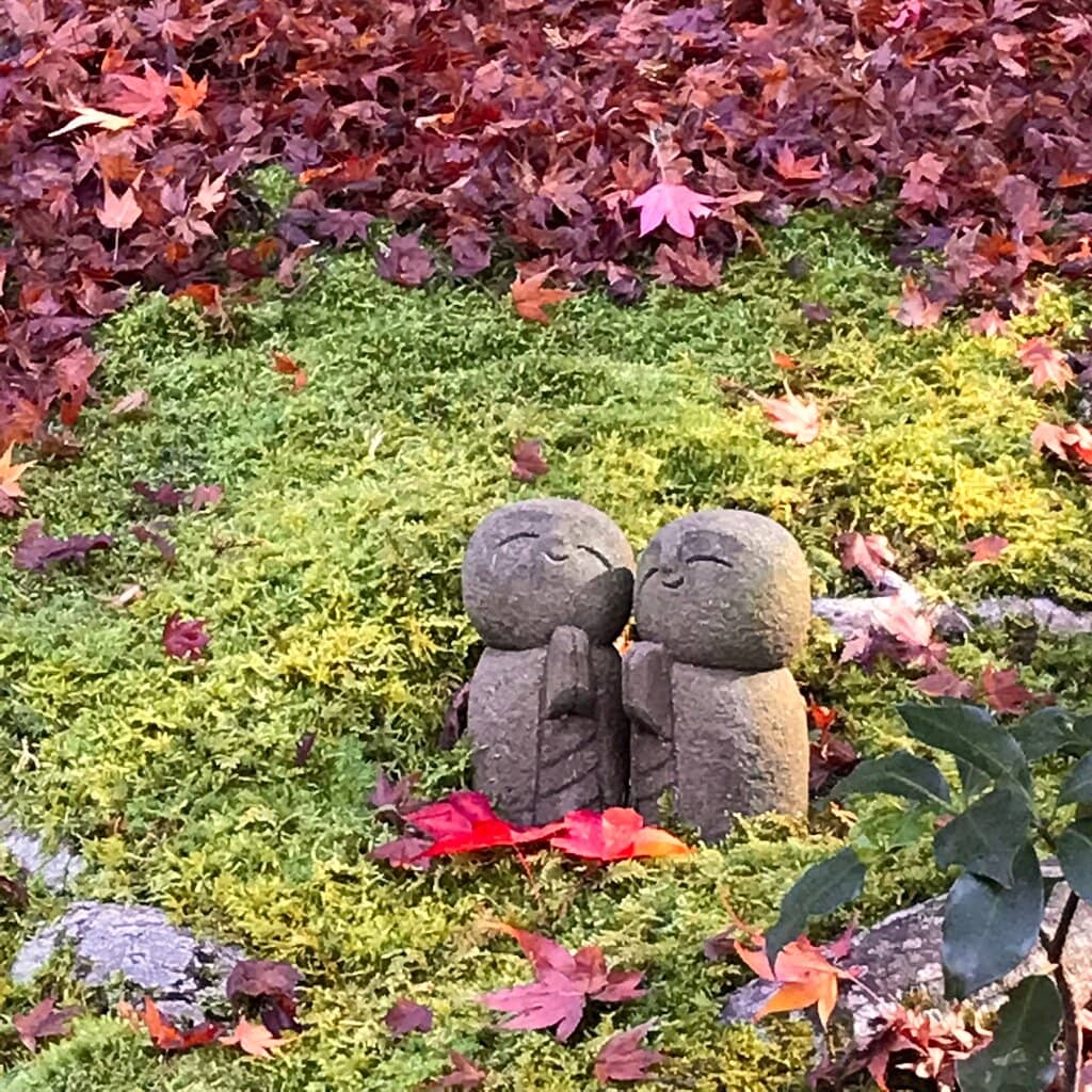 Autumn Foliage Spectacle