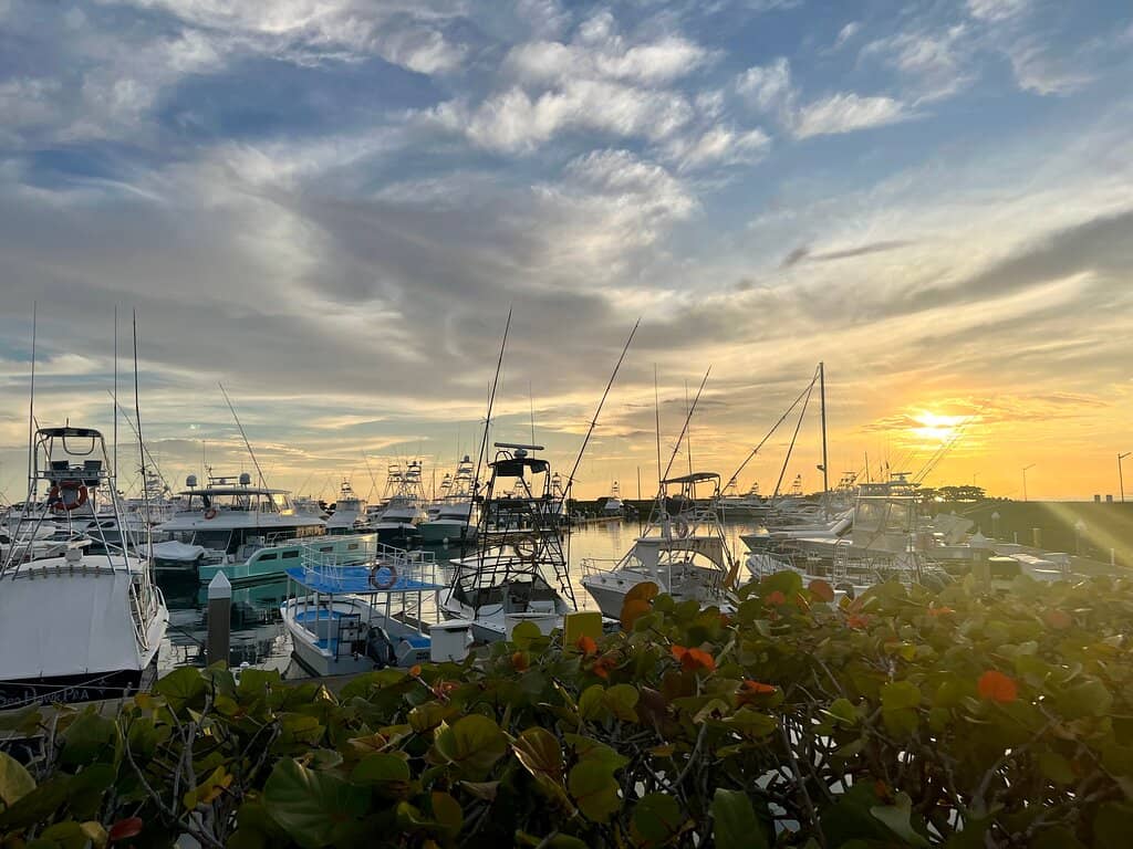 Gastronomic Mercadito