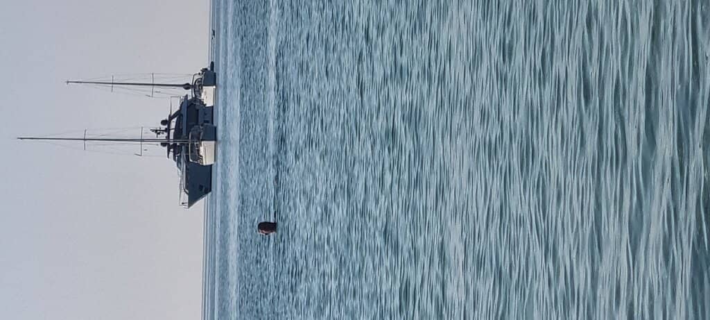 Vertical photo