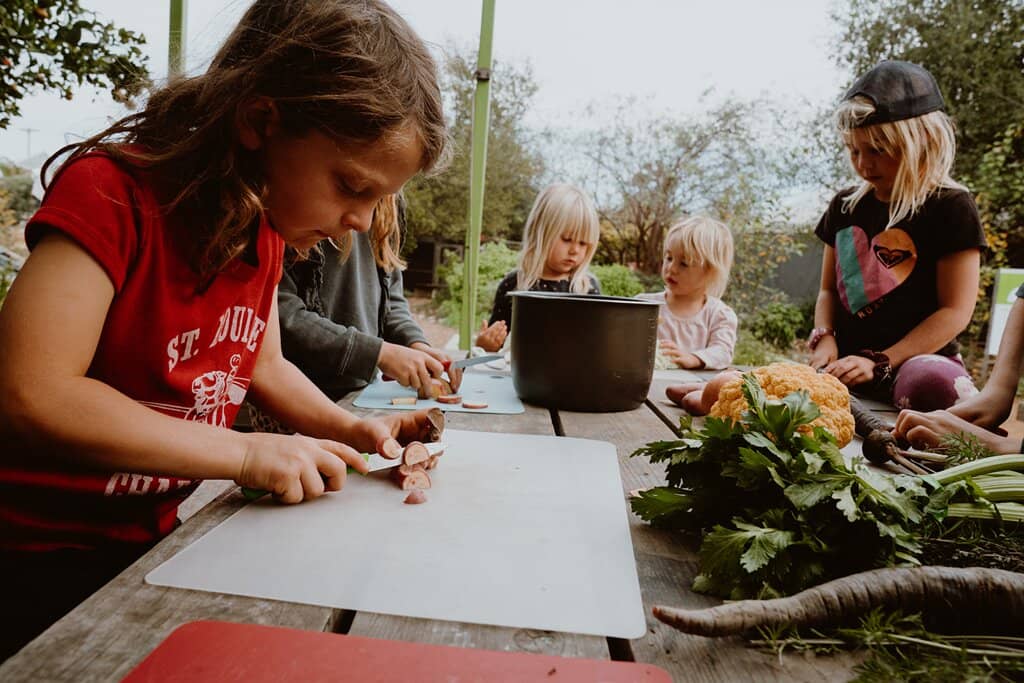 Regenerative Organic Farm