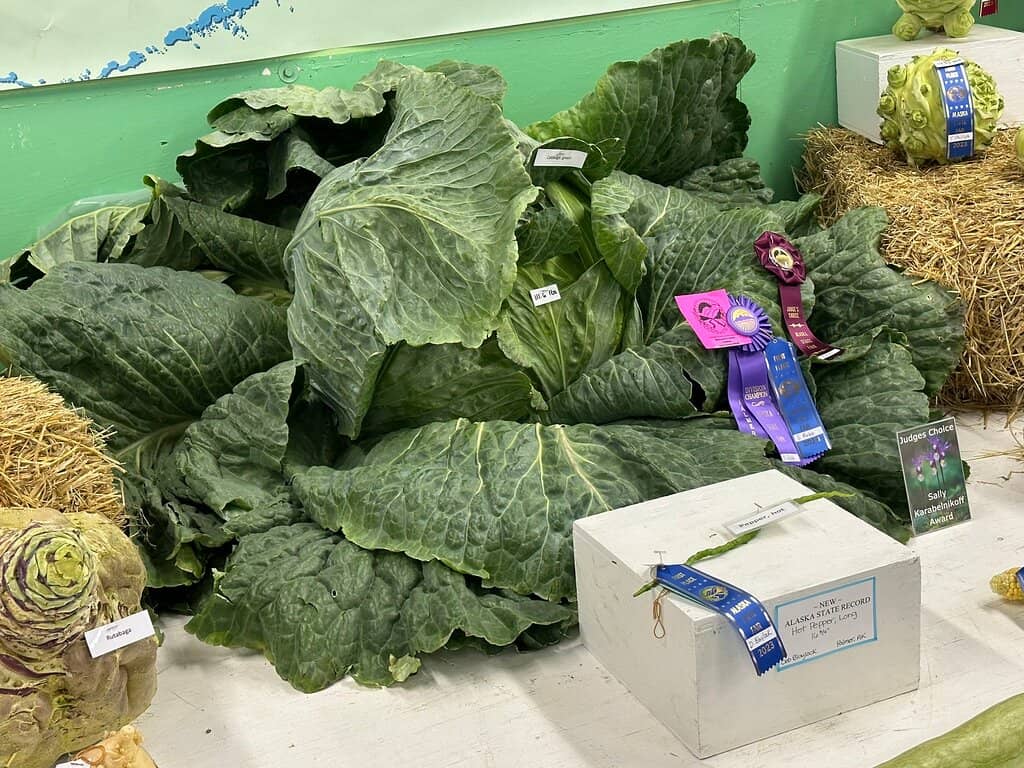 Local Artisan Crafts