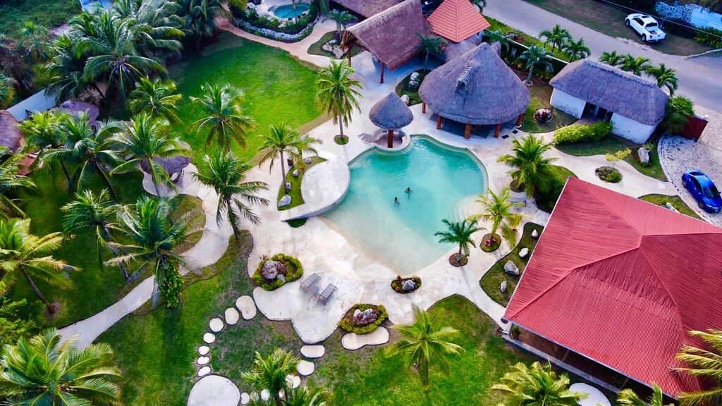 Jungle Immersion