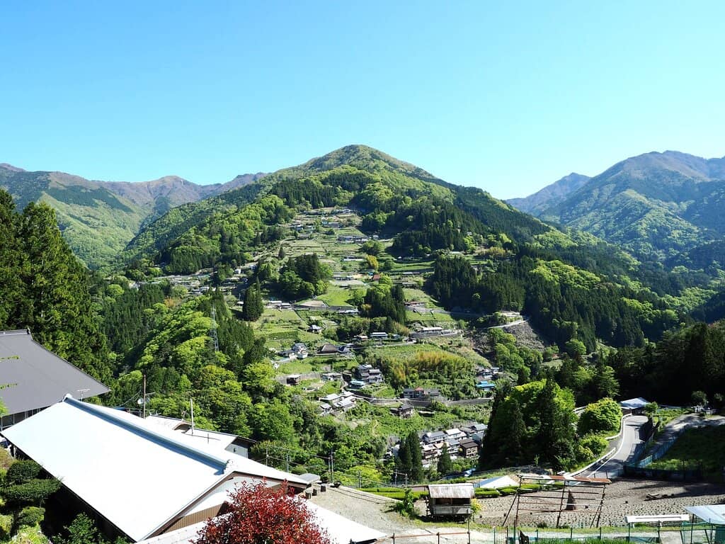 Traditional Thatched Roof Houses