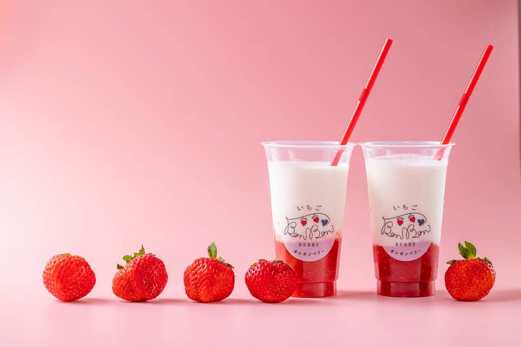 Hokkaido Souvenir Shop