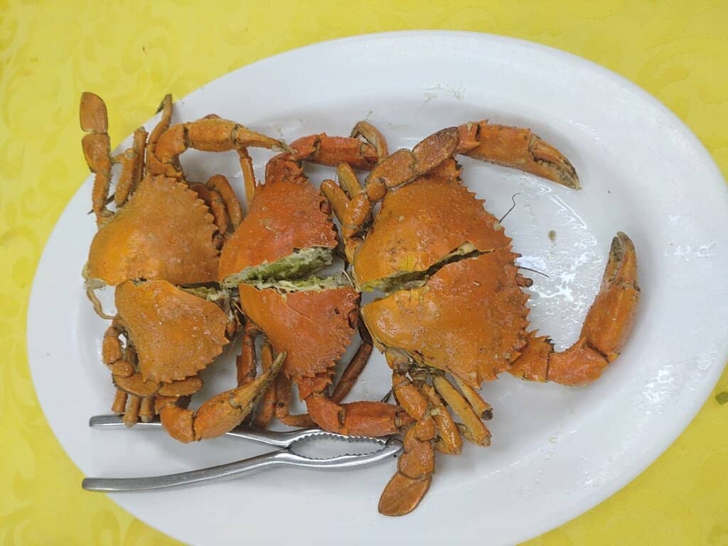Shenzhen Bay Panorama