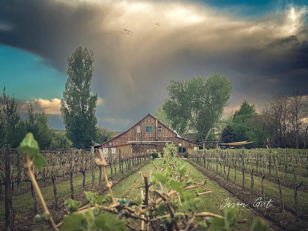 Gourmet Dining & Charcuterie