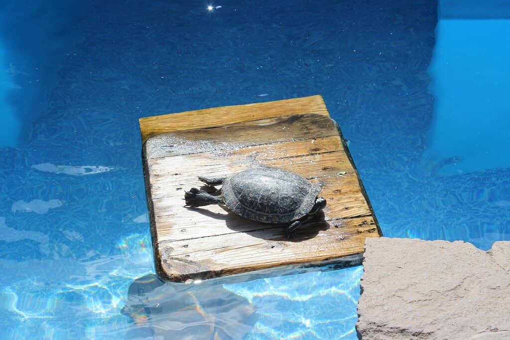 Bell Tower Inscription