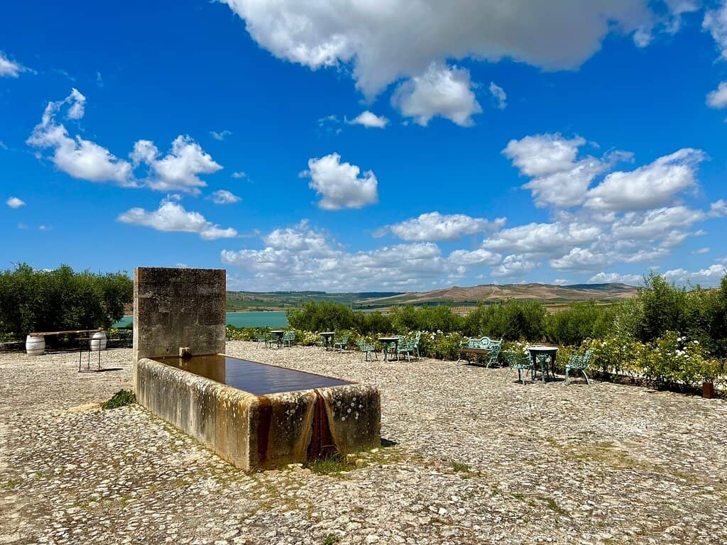 Planeta Estate Wine Tasting