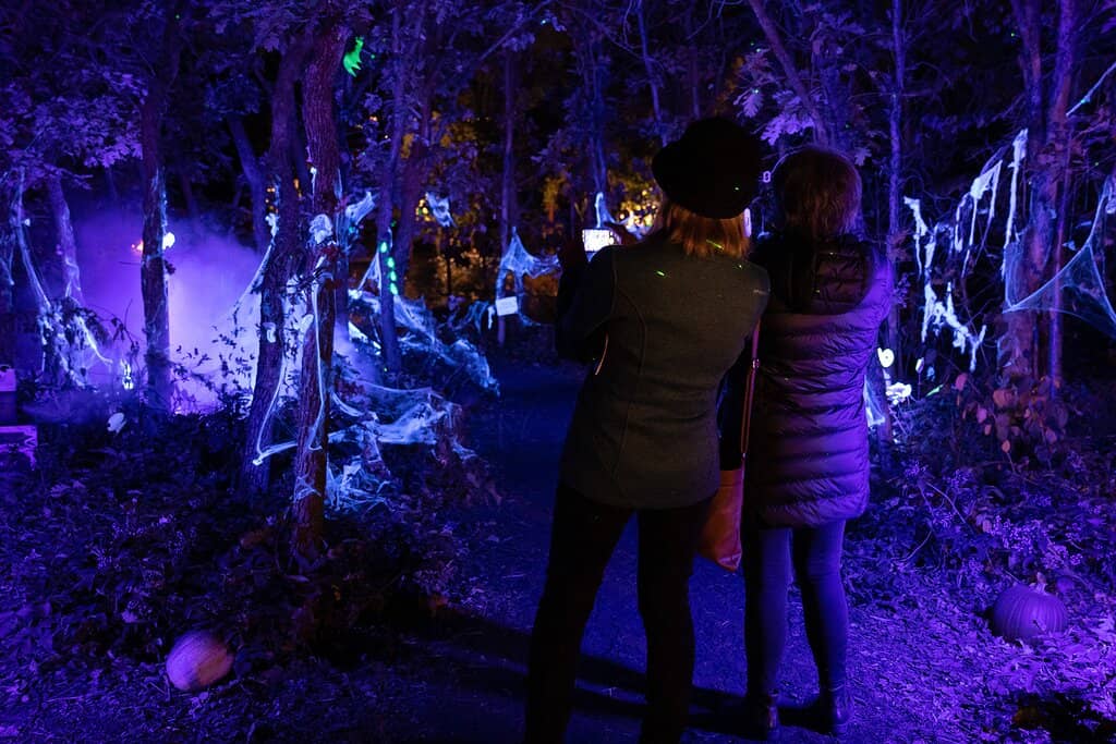 Outdoor Concert Series