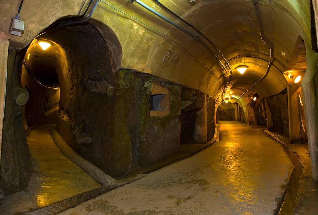 The Underground Tunnels