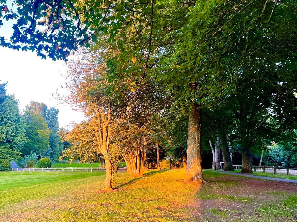 Skate Park & Sports Facilities