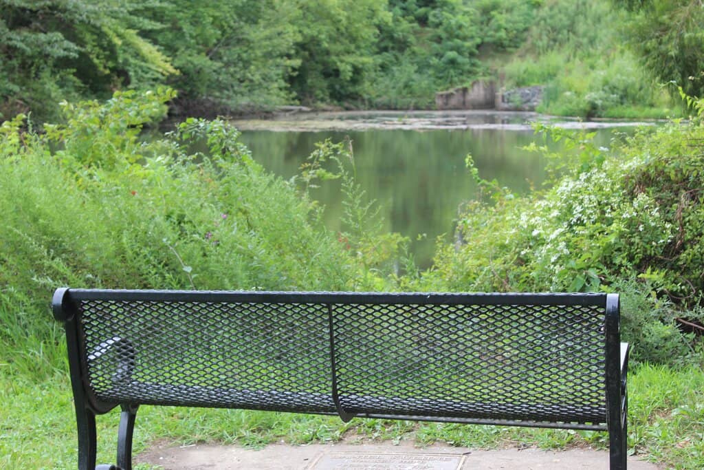 Cooper River Trail