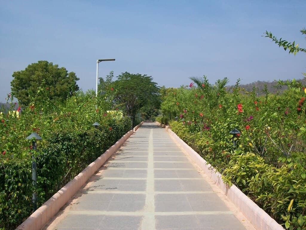 Local Life in the Valley