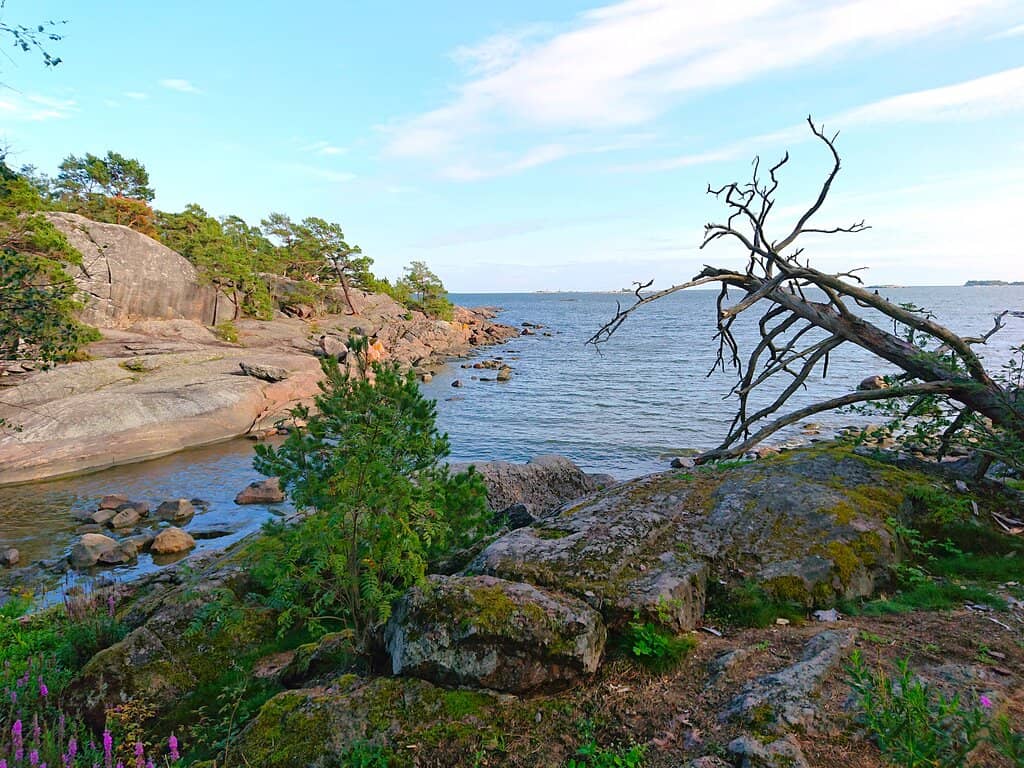 Island Trails & Nature