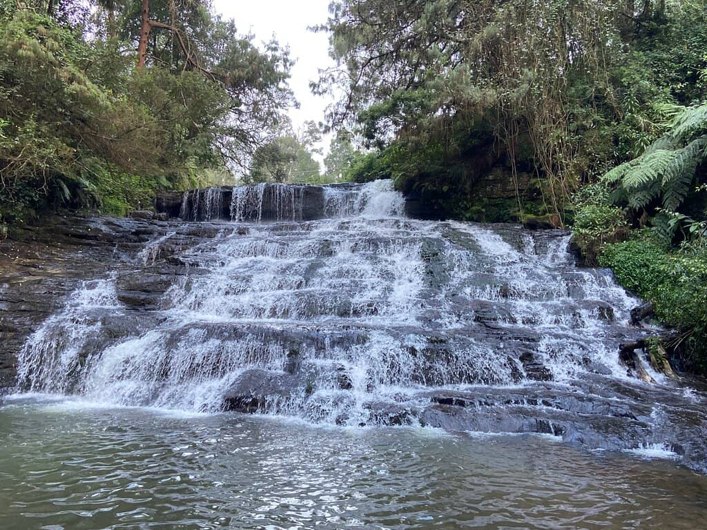 Dolphin's Nose Viewpoint Path
