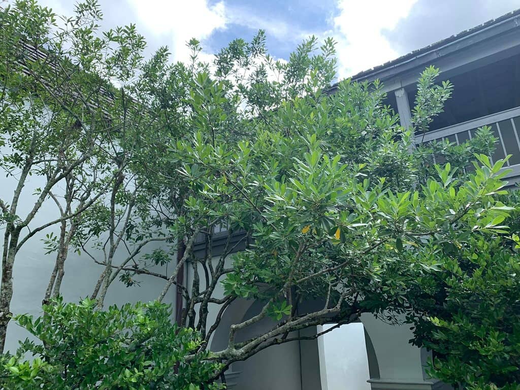 Chapel and Candle Lighting