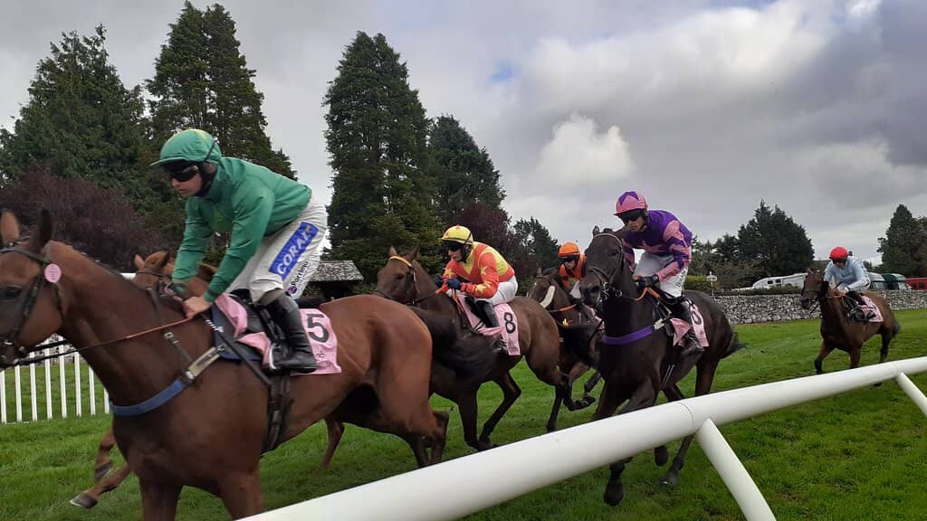 Bring Your Own Picnic