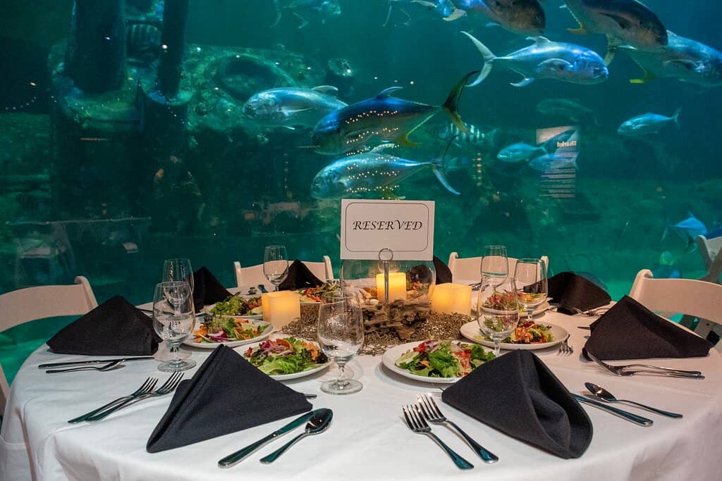 Living Reef Exhibit