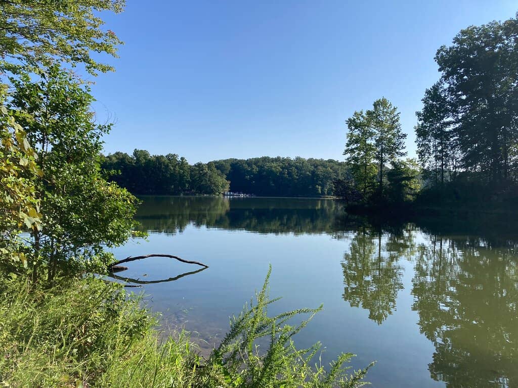 Schwartz Peony Garden