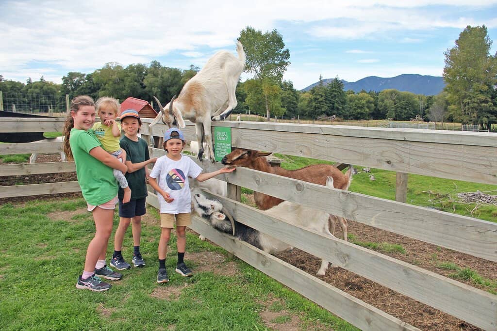 Playground & Trampolines