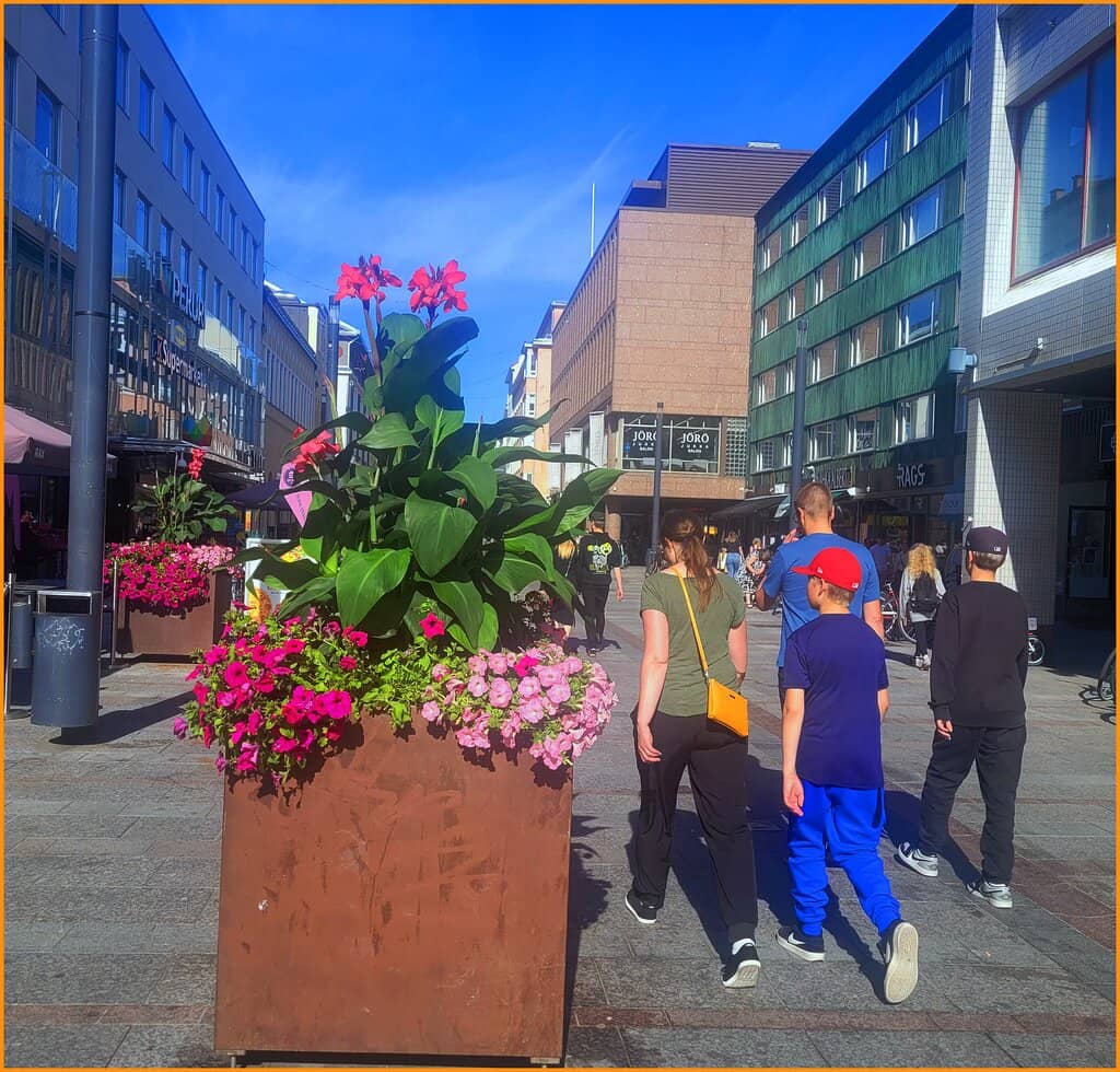 Stained Glass Windows