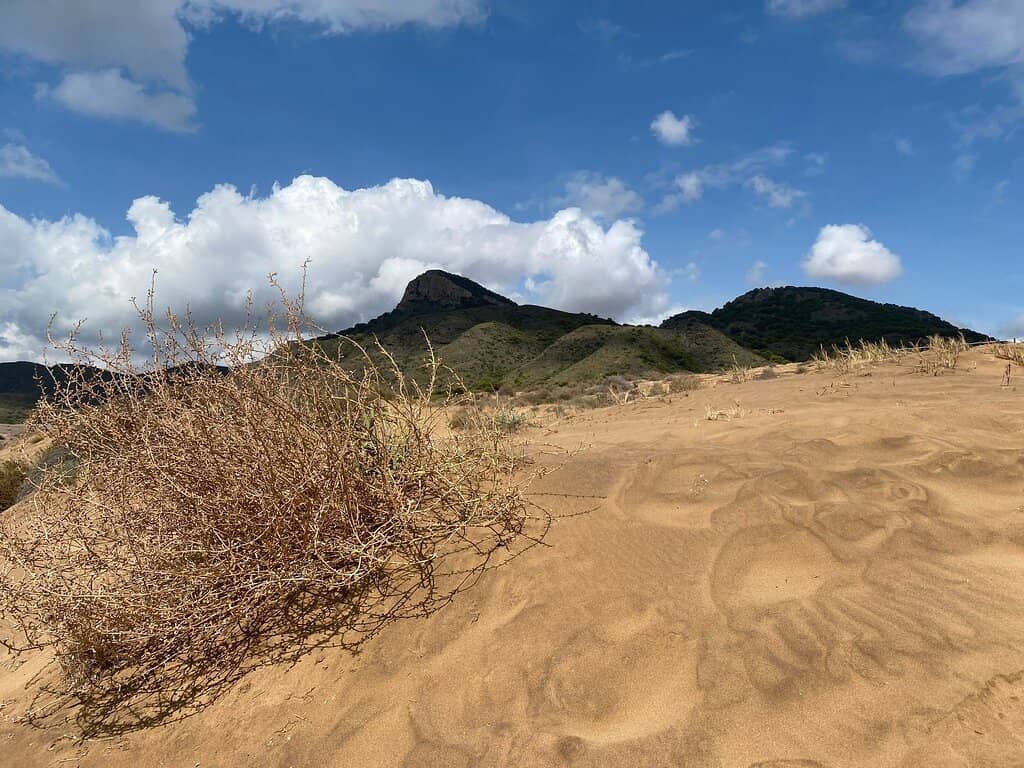 Pristine Beaches