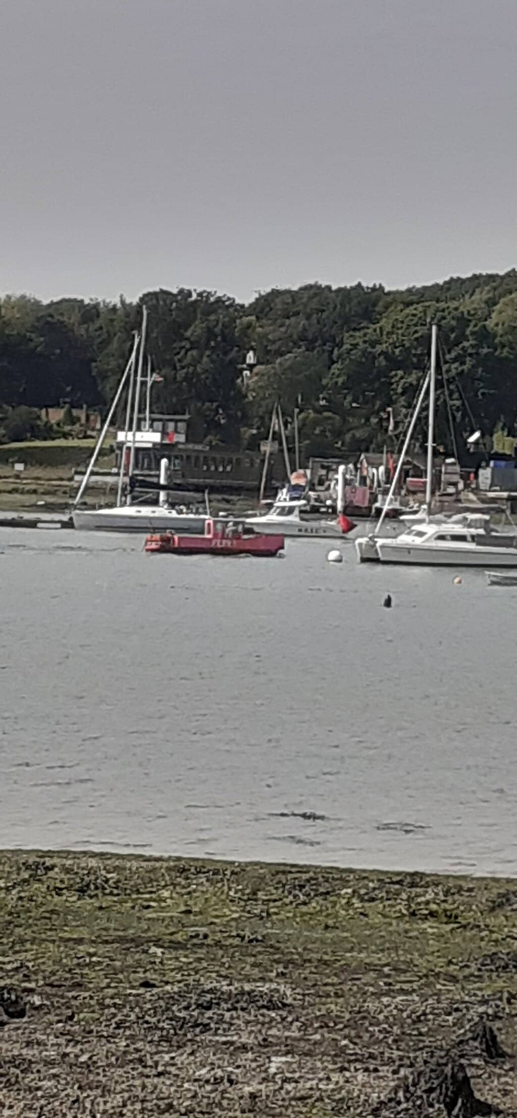 The Iconic Pink Ferry