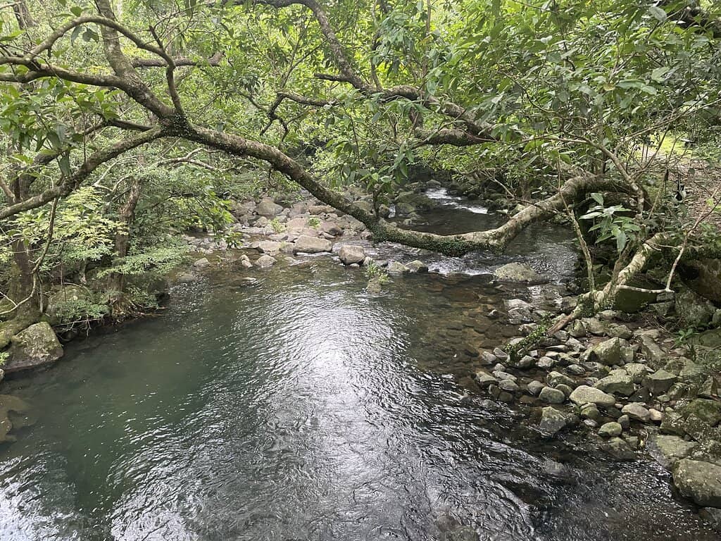 Pineapple Hut Trail