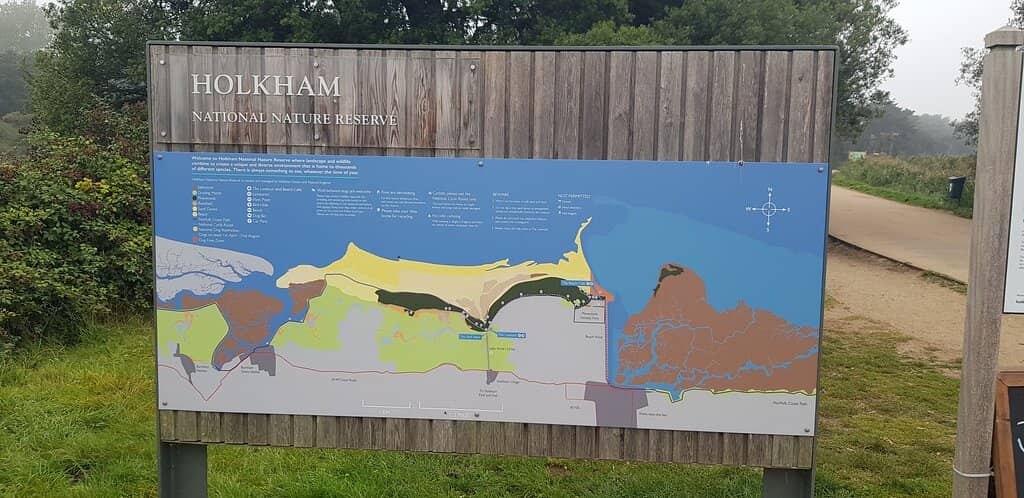 Coastal Cafe Experience